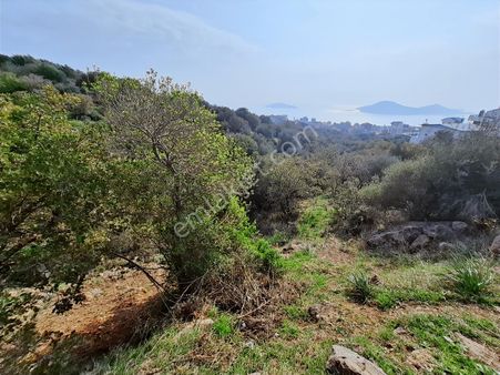 Çandarlı Bimeyko'da Villa İmarlı Arsa