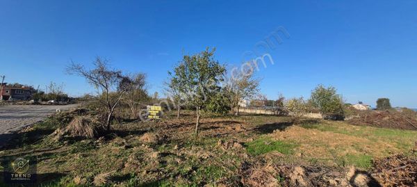 Trend Gayrimenkul'den 8 Kat İmarlı 1000 M² Satılık Arsa