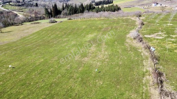 Blue Yatırım'dan Yalova Çukurköy'de 5286m2 Satılık Tarla