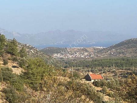 Datça Hızırşah'ta Satılık Deniz Manzaralı 1.051 M2 Tarla