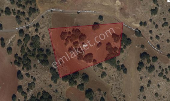 Tatlıca'da Müstakil Tek Tapulu Yola Cepheli 8.902m2 Arsa