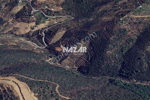 Alanya Çamlıca'da 15.073 M² Satılık Tarla