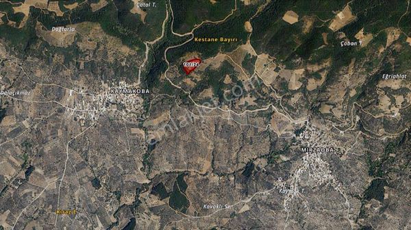 Mirzaobada Yatımlık 10.851 M2 Satılık Tarla