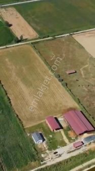 Satılık 18 Dönüm Üzerine Kurulu Büyükbaş Hayvan Çiftliği