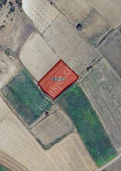 Balıkesir Karesi Yağcılar Köyü'ne Bağlı Satılık Tarla