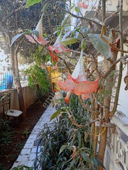 Barış Mahallesinde 2+1 Bahçeli Kiralık Daire