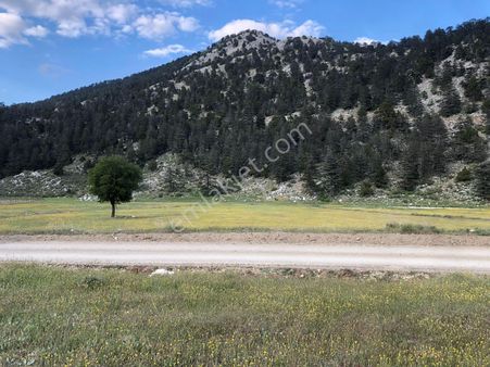 Altınyaka Celil Yaylasında Satılık Ev Yapımına Uygun Arazi