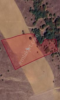 Satılık Sulukaraağaç Mah.11000m2 Fırsat Tarla