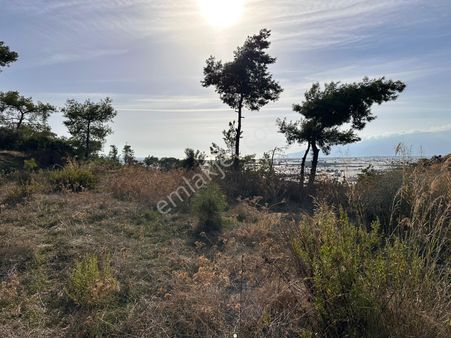 Eksper Den Beykonakta Hayalini Yaşa! ''deniz Ve Doğa İle İçiçe''