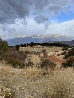 Eksper'den Sessiz,huzurlu Ve Yatırımlık: Gölcük'te Geniş Arsa!