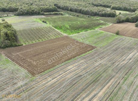 Yuvam Arsa Ofisin'den Kaynarca Ömerağa'da 1885m2 Tek Tapu Arsa