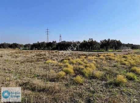 Süleymanlı Mah. Milinge Asfaltı Yakını 240 M2 Hobi Bahçesi