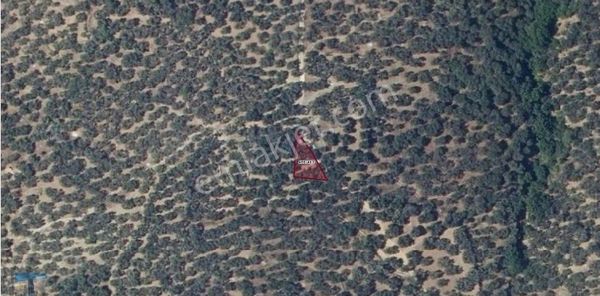 S1069 Ayhan Gezer Emlak'ta Edincik Mh 271m2 Satılık Zeytinlik