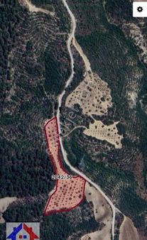 Adana İmamoğlu Üçtepede Tek Tapulu Zeytin Bahçesi