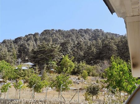 Konyaaltı Hisarçandırda 919 M2 Tarla Ve Kagir Yapı