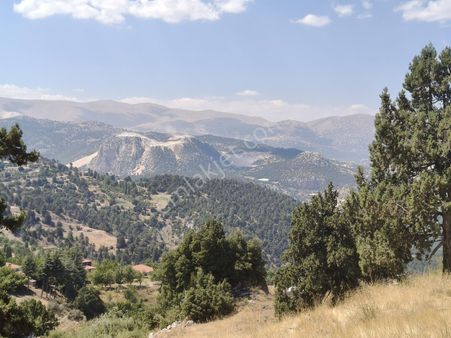 Konyaaltı Geyikbayırın'da 4169 M2 İmarlı Muhteşem Arsa