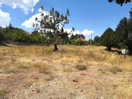 Geyikbayırı'nda İmara Sıfır Satılık Tarla