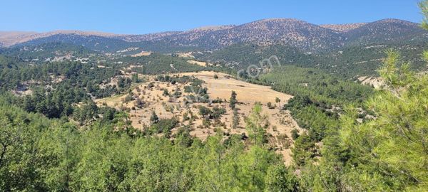 Korkuteli Güzlede Doğa Harikası 19.943 M2 Müstakil Tarla