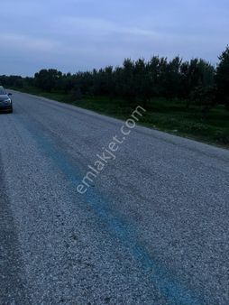 Akhisar Süleymanlı’da Milinge Yolu Üzerinde Zatık Hobi Bahcesi