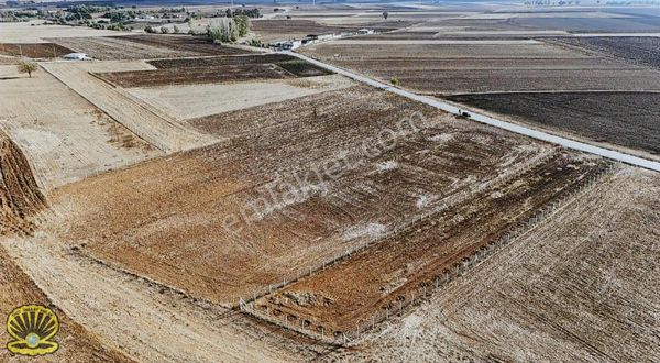 İnci Emlak'tan Yeniyayla Yol Üzerinde Tarla