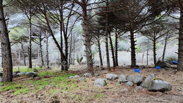 Kozak Yaylası Satılık Anayol Kenarı (asagıbey /1894 M2)