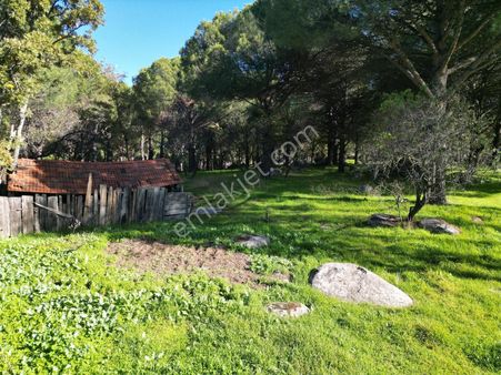 Kozak Karaveliler Satılık İmarlı Arsa (5650 M2)