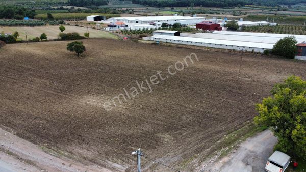 Mir'den Balıkesir Savaştepe İstiklal Mh. Satılık 10.435 M2 Tarla