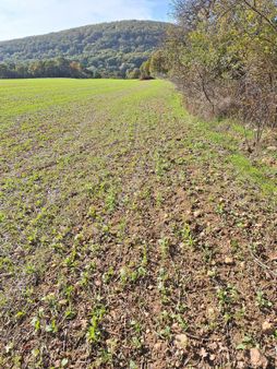 Kıklareli Pınarhisar İslambeyli Mah De Satılık