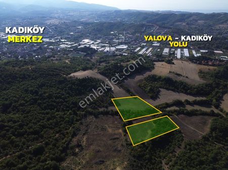 Yalova Merkez Kadıköy Yatırım Fırsatı Satılık 11 Dönüm Arsa