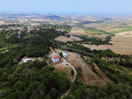 Yalova Gacık Köyünde, Deniz Manzaralı, Satılık 3300m2 Bahçe
