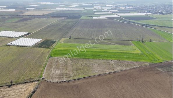 Çilemede Yatırımlık 9.500 M2 Tek Tapu Müstakil Parsel