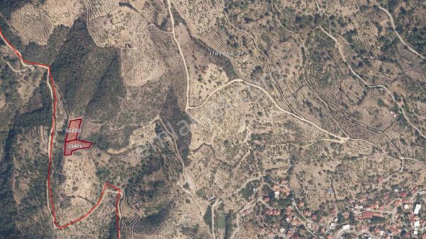 Gözdeden Sultanhisar Demirhanda Satılık İncir Bahçesi...