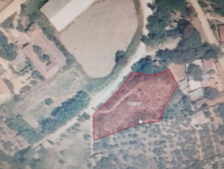 Trilye- Halilbey Mah. Araç Takaslı, 2.5 Kat İmarlı Satılık Arsa