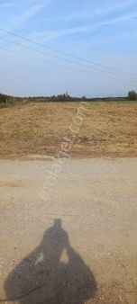 Turgutlu Nurcan Emlak'tan 7.mıntıka 14.088 M² Tek Tapu Tarla