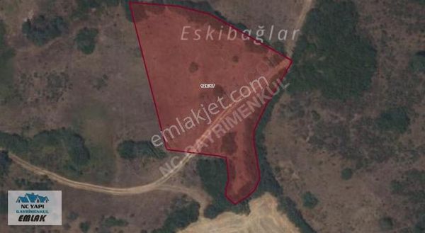 Balıkesir Kepsutta Bektaşlar Köyünde 5400 M2 Arazi Satılık