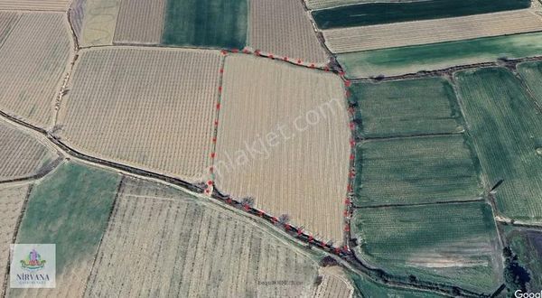 Honaz Kaklıkda 23 Dönüm Üzüm Bağı