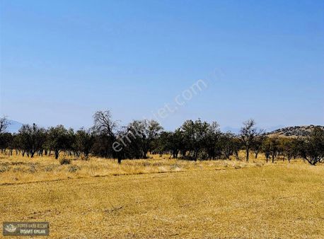 Yunus Emre Özcan İnşaat Emlâk