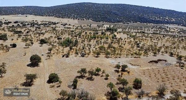 Yunus Emre Özcan İnşaat Emlâk