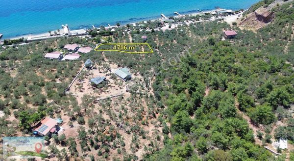 Deniz Manzaralı Zeytinlik 1.706 M² / Çanakkale / Ayvacık / Sazlı