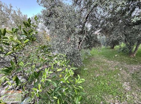 Füsun Emlak'tan Esenköy Mah. Müstakil 420 M2 Arazi Satılıktır