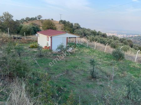 My Home Gayrimenkul'den Tire Kaplan Mahallesinde Satılık 3.225 M2 Tarla