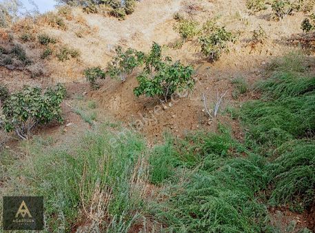 Dereağzı 4327 M2 İncirlik