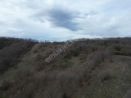 Turyap'tan Harmanlı'da Eko Imarlı Vılla Parselleri...