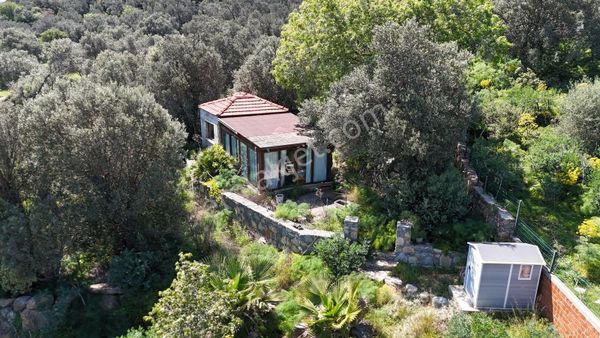 1900 M2 Arsa |130 M2 Yapı Kayıt Belgeli Satılık Zeytinlik