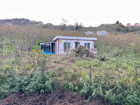 Trabzon Tosköyde Satılık Az Eğimli Arazi