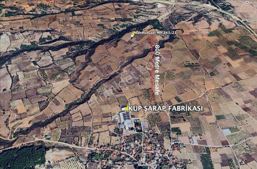 Denizli Çal Mahmutgazi Mh Küp Şarap Fabrikasına Komşu 1.023,49 M