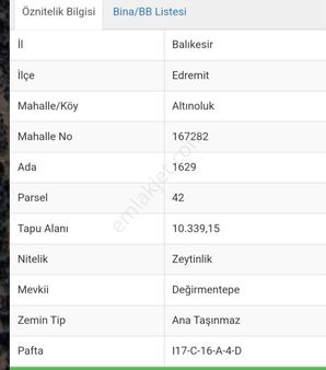 Eu Gayrimenkul'den Altınolukta İmara Sıfır 10 Dönüm Zeytinlik