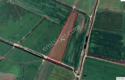 Eu Gayrimenkul'den Çanakkale Ayvacık Gülpınarda 8900 Metrekare Kadastral Yolu Olan Tarla