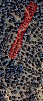 Eu Gayrimenkul'den Çanakkale Ayvacık Arıklı Köyünde 1615 Metrekare Yolu Olan Verimli Zeytinli