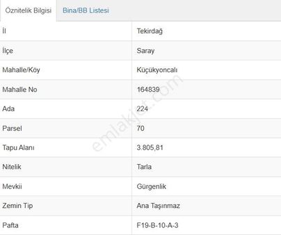 Eu Gayrimenkul'den 3800 Metrekare Kadastral Yolu Olan Tarla